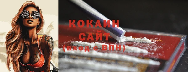 соль курить ск Нязепетровск