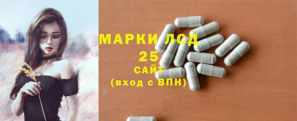 эйфоретик Няндома