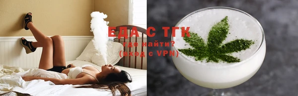 эйфоретик Няндома