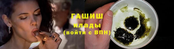 эйфоретик Няндома