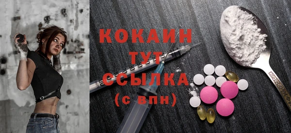 эйфоретик Няндома