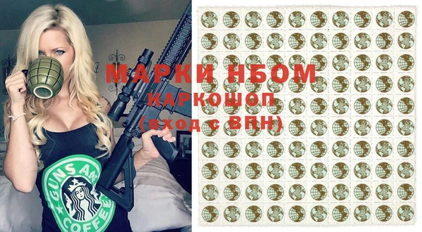 эйфоретик Няндома