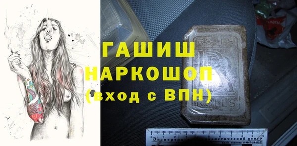 эйфоретик Няндома