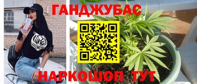 СК Волгодонск