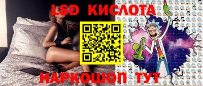 СК Волгодонск