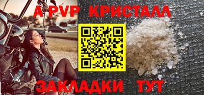 СК Волгодонск