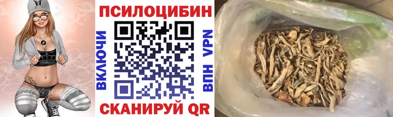 Галлюциногенные грибы Cubensis  ОМГ ОМГ ссылки  Ижевск 