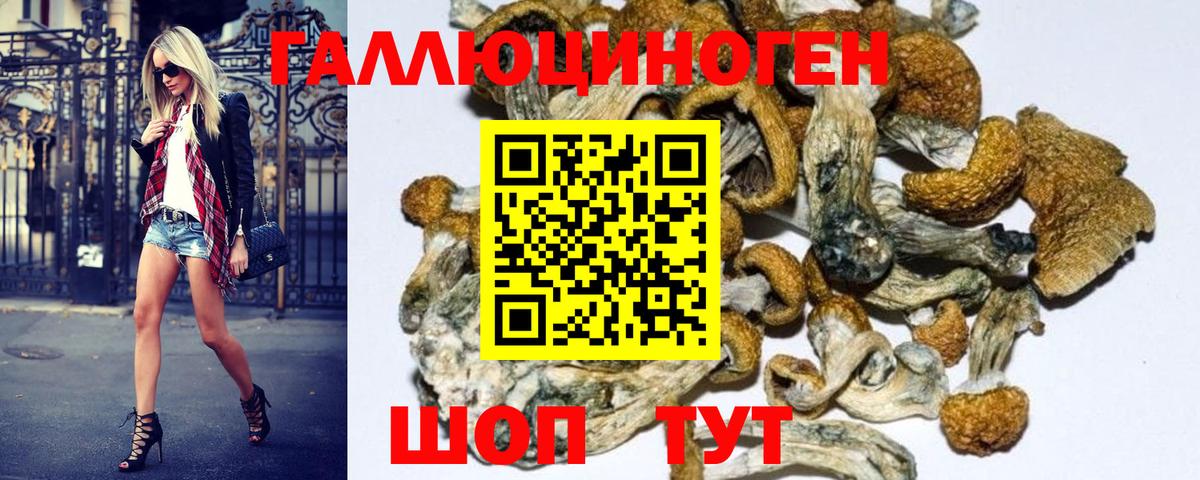 Галлюциногенные грибы GOLDEN TEACHER  Ижевск 