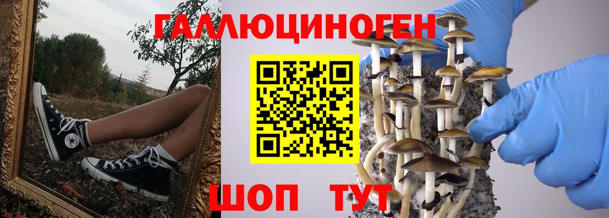 Ижевск  Псилоцибиновые грибы Cubensis  Псилоцибиновые грибы Magic Shrooms  Вход с VPN 