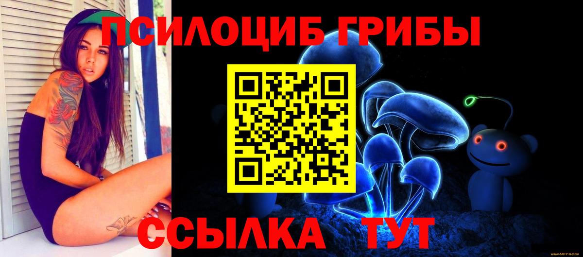 Галлюциногенные грибы Psilocybe Ижевск